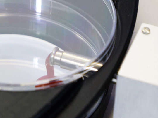 Plattengießmaschine