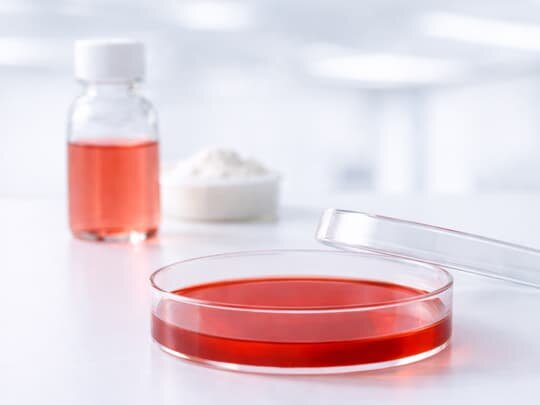 Mikrobiologische Nährmedien