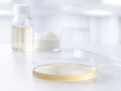 Mikrobiologische Nährmedien