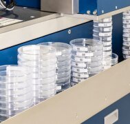 Petrischalen-Automatisierung