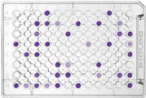 AN-Anaerobes Phenotype MicroArrays von Biolog für die Charakterisierung von Filamentöse Pilzen, Hefen, Bakterien und Mikroorganismen