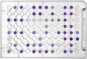 GEN 3 Plate von Biolog für die Identifizierung bzw. Charakterisierung von Filamentöse Pilzen, Hefen, Bakterien und Mikroorganismen