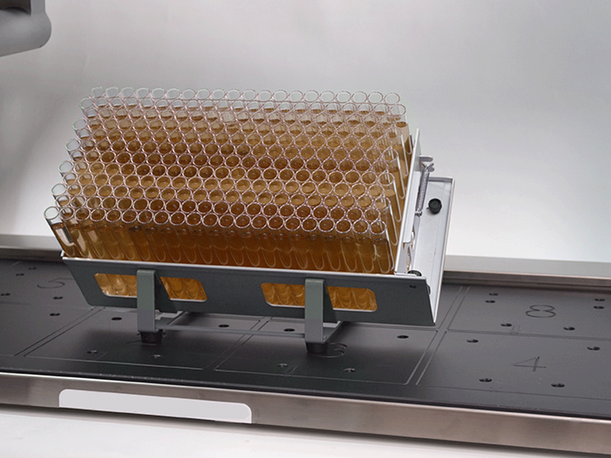 Neigbares Röhrchengestell mit gefüllten Reagenzgläsern auf dem POLYWEL 3D®