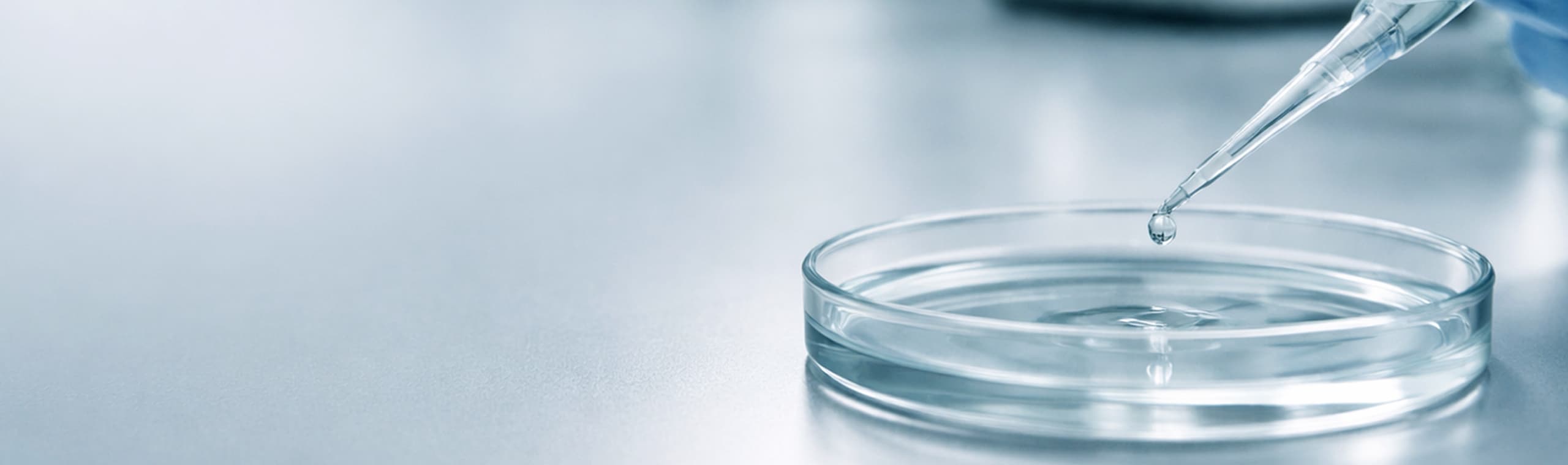 Moderne Laborszene für mikrobiologische Laborprozesse mit Pipette und Petrischale